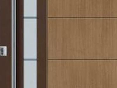 model-drzwi-drewnianych-parmax-z-kolekcji-top-design-plus-06